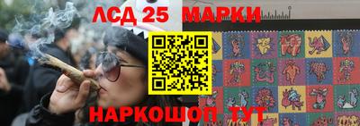 индика Гай