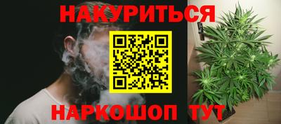 ешки Гатчина