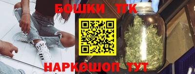 индика Гай