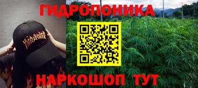 ешки Гатчина