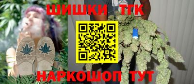 индика Гай