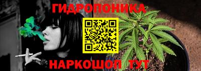 индика Гай