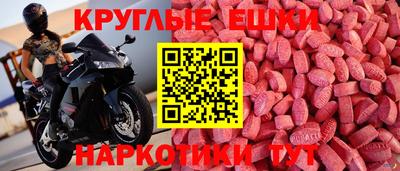 индика Гай
