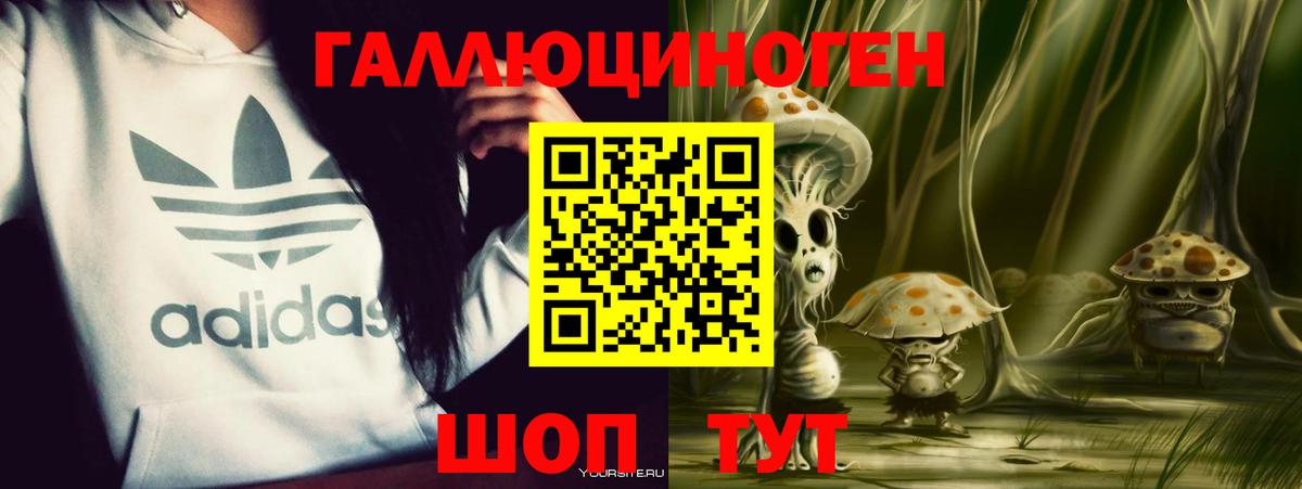 Гатчина  Галлюциногенные грибы мицелий  Вход с VPN 