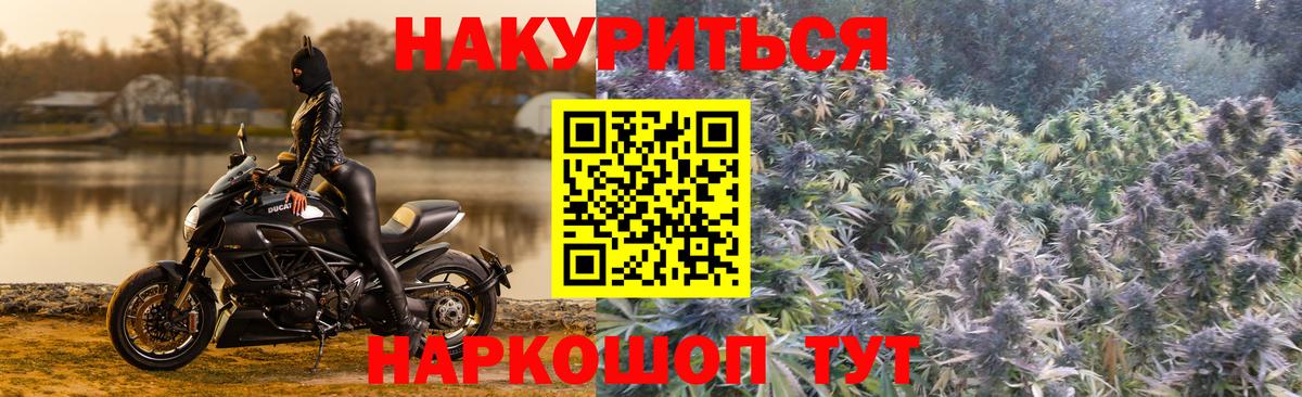 Бошки Шишки AK-47  Вход с VPN  Гатчина  МАРИХУАНА LSD WEED 